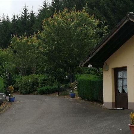 Chalet Rose Villa Burg-Reuland Kültér fotó