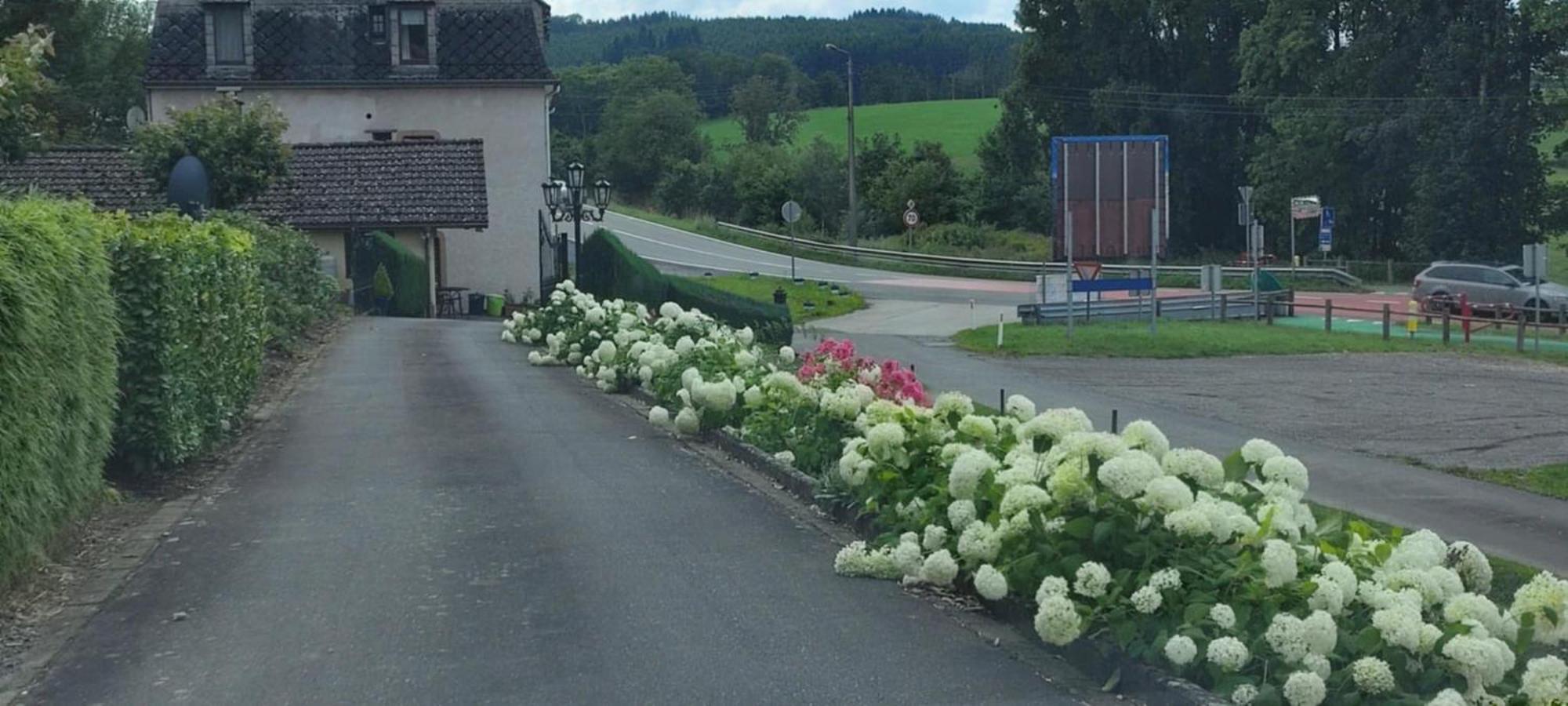 Chalet Rose Villa Burg-Reuland Kültér fotó